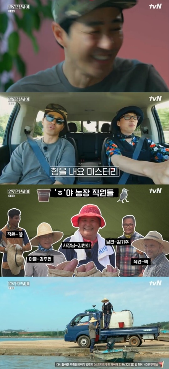 tvN '일로 만난 사이' 캡처