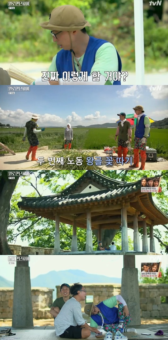 tvN '일로만난사이' 캡처