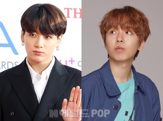 정국, 해쉬스완 / 사진=헤럴드POP DB, 해쉬스완 인스타그램