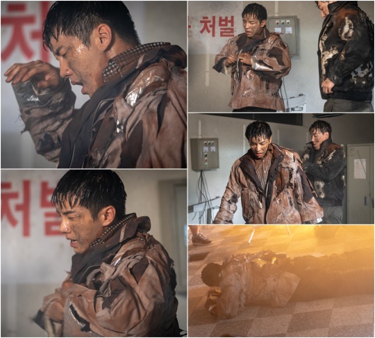 사진제공=셀트리온엔터테인먼트
