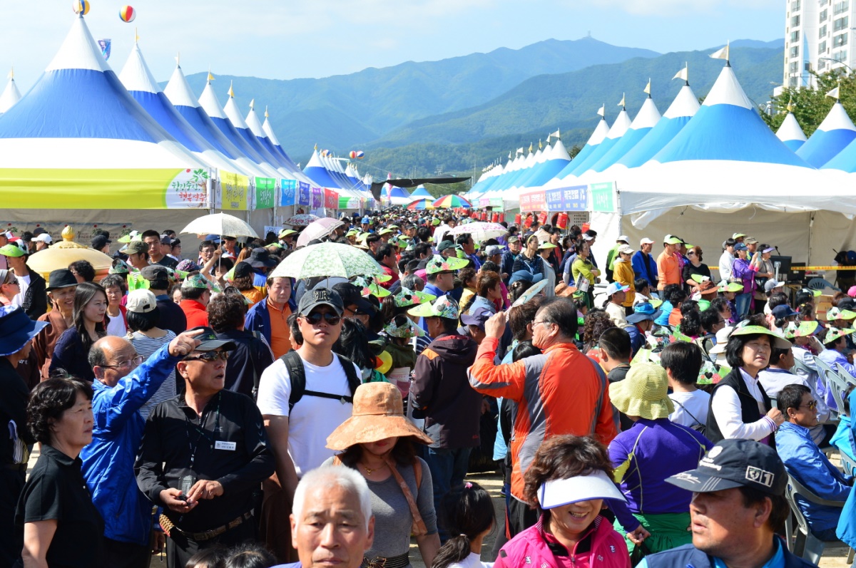 풍기 인삼축제장에 수많은 인파가 가득 메우고 있다.사진은 지난해 축제모습