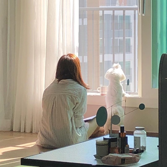 아이비 인스타