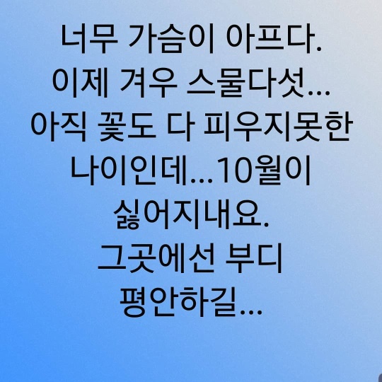 한정수 인스타