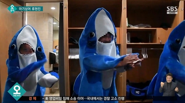 사진= 아기상어 관련 SBS 뉴스 캡처