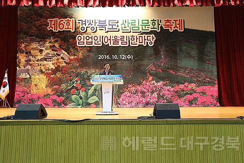지난 2016년 영주 국민제육센터에서 열린 제6회 산림문화축제 모습(헤럴드  DB)
