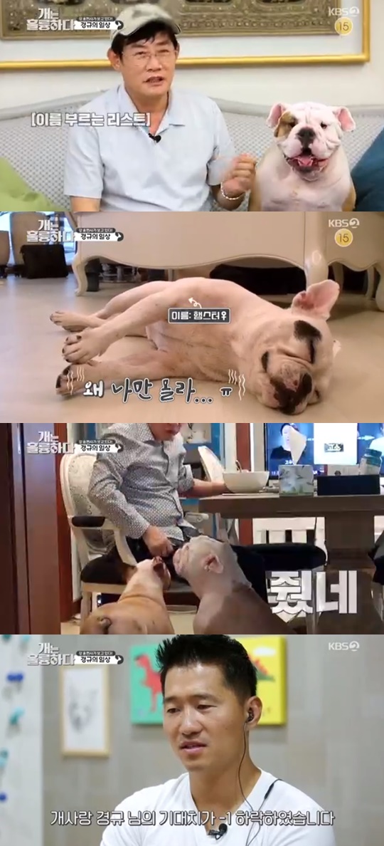 KBS '개는 훌륭하다' 캡처
