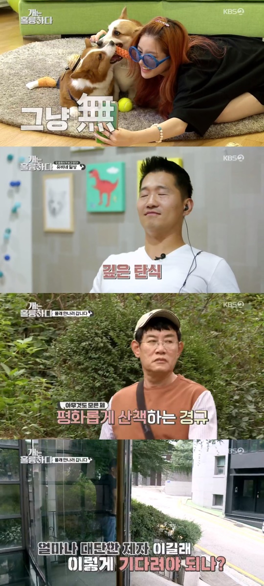 '개는 훌륭하다' 방송캡쳐