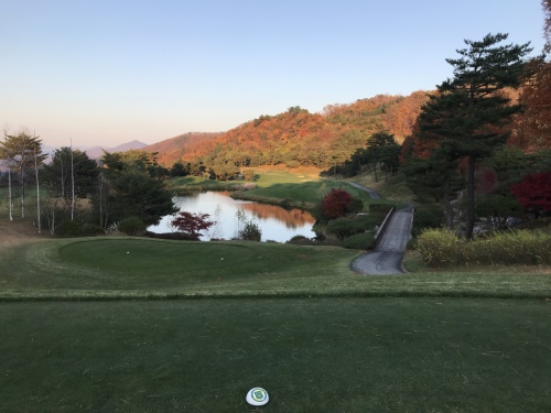 비발디 파크는 대중제 전환후 오히려 그린피를 인상했다.