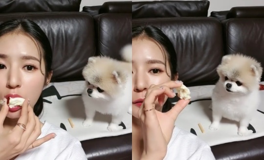 박기량 인스타