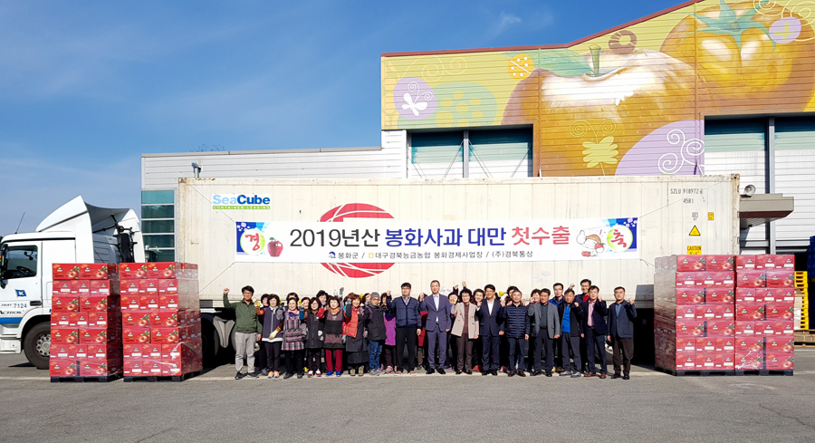 봉회에서 생산되는 사과가 대만으로 첫 수출됐다(봉화군 제공)