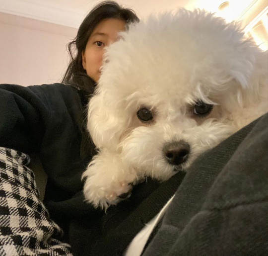 수지 인스타