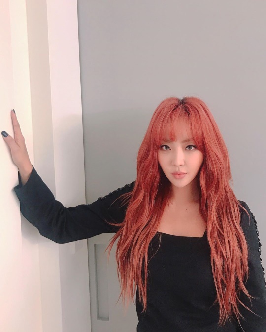 나르샤 인스타그램