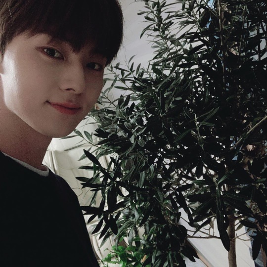 황민현 인스타