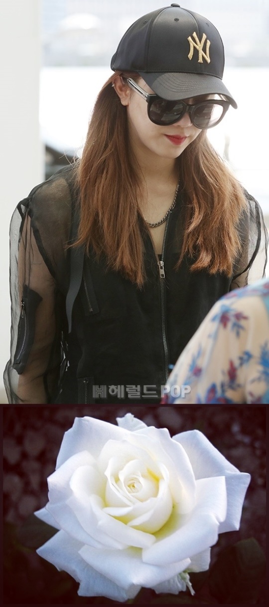 사진=헤럴드POP DB, 선데이 인스타