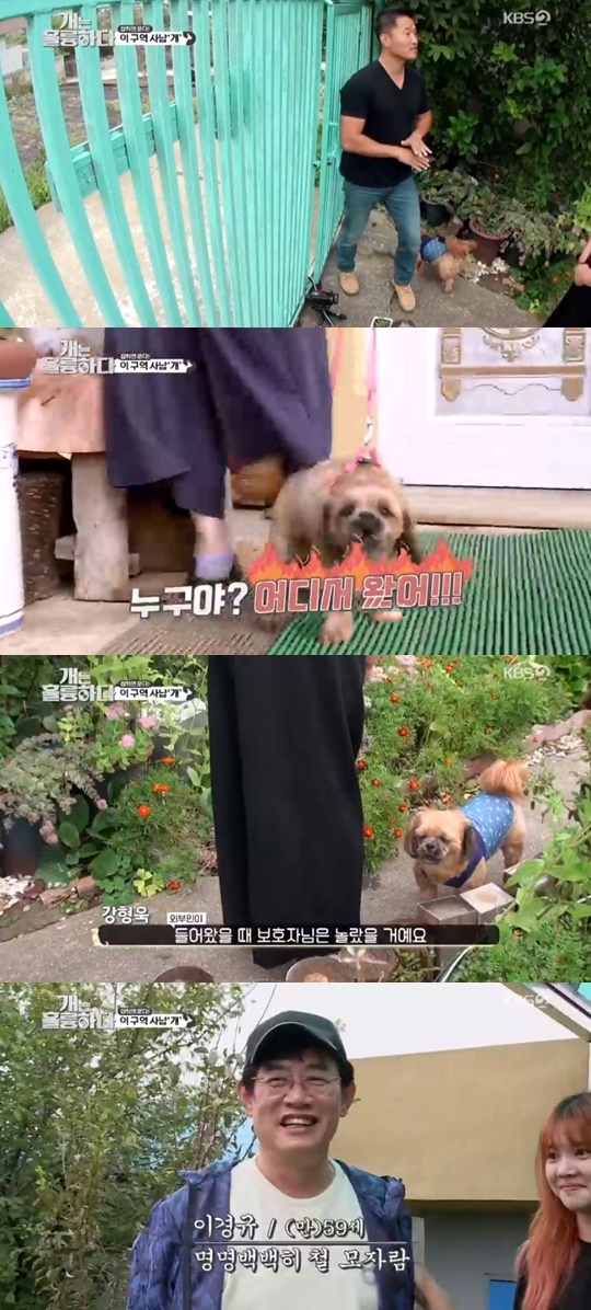 KBS '개는 훌륭하다'캡처