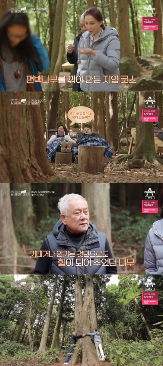 채널A '길길이 다시 산다' 방송캡쳐