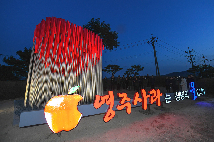 중앙고속도로 영주시 봉현교차로에 설치된 대형 영주사과 홍보 조형물 (영주시 제공)