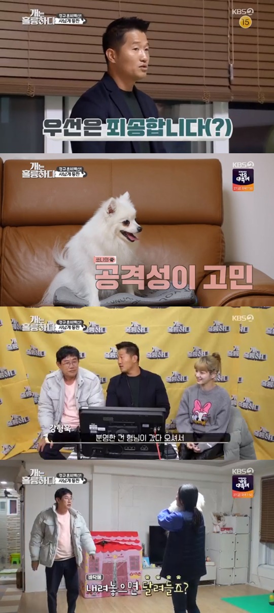 KBS2'개는훌륭하다'캡처
