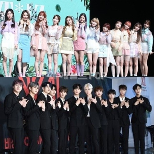 아이즈원 엑스원/사진=헤럴드POP DB