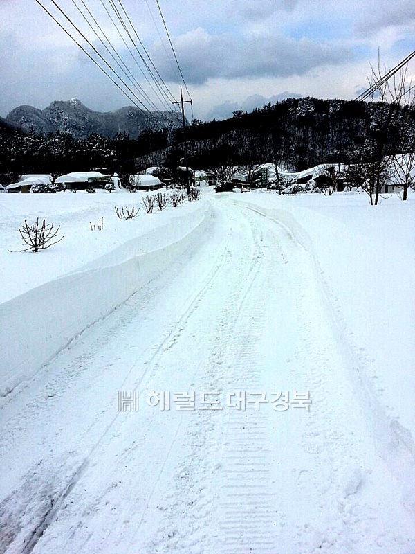 14일  울릉도.독도에 내려진 대설경보로 산간지역인 나리분지에는 최고 90㎝에 가까운 눈이 내려 ‘설국’(雪國)으로 변했다.