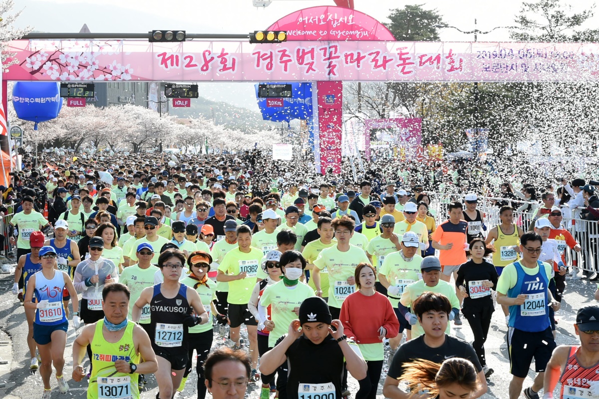 매년 4월 열리는 '경주 벚꽃마라톤 대회' 모습.[경주시 제공]