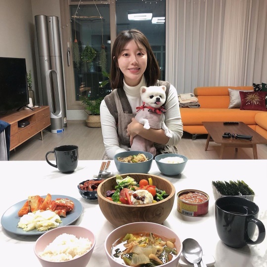 나비 인스타