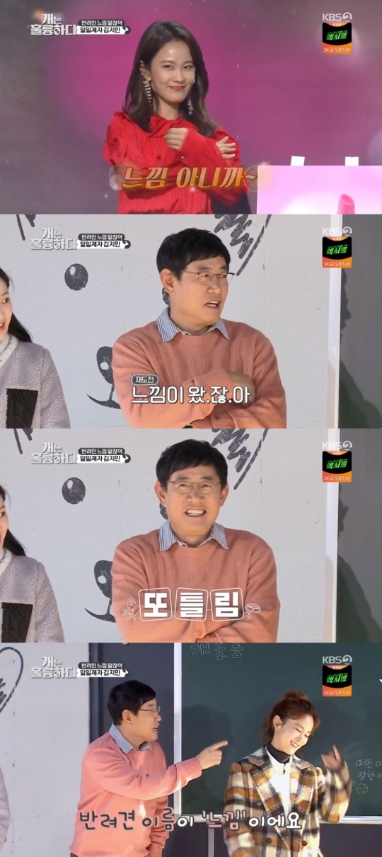 KBS2TV '개는 훌룽하다' 캡처