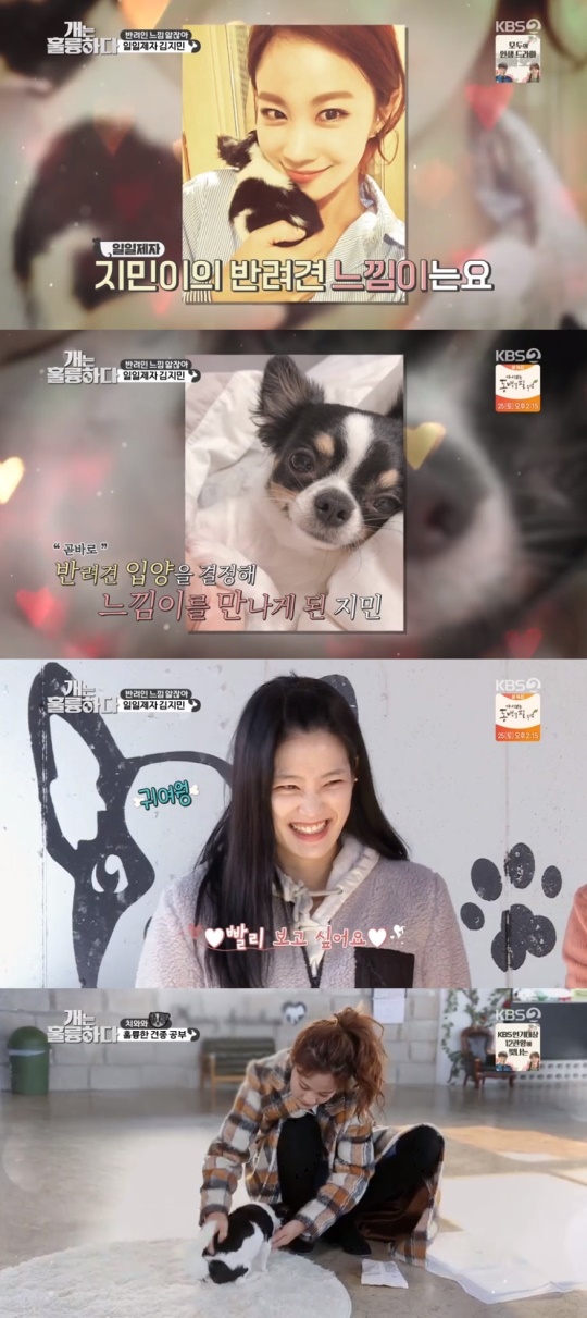 KBS2TV '개는 훌룽하다' 캡처