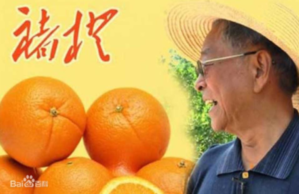 2020년 트렌드로 살펴본 중국의 식음료 시장