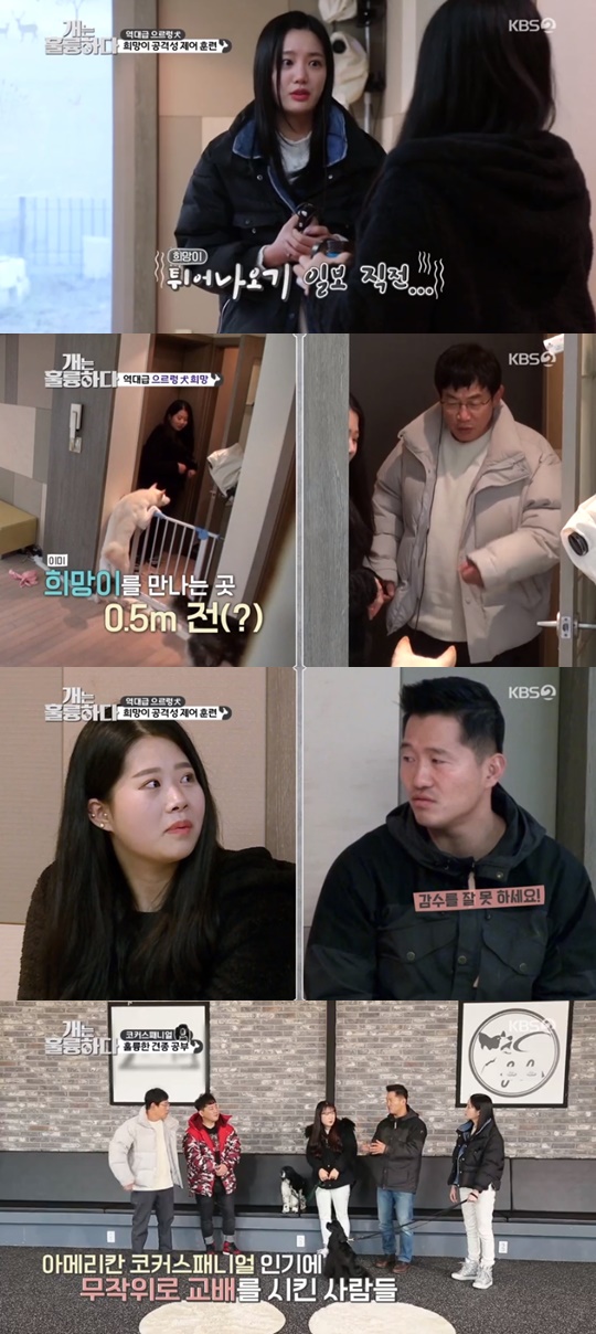 KBS2 '개는훌륭하다'캡처