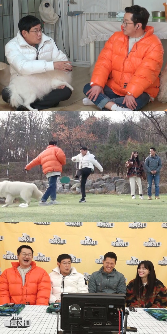 '개는 훌륭하다' 제공
