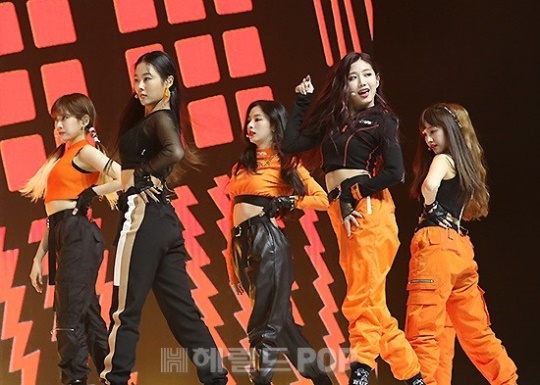 체리블렛/사진=민선유 기자