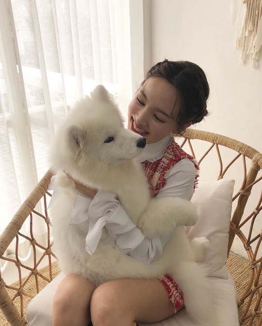 트와이스 공식 인스타그램