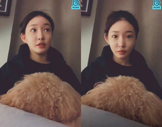 청하 브이앱 화면 캡처