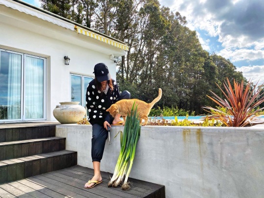 진재영 인스타그램