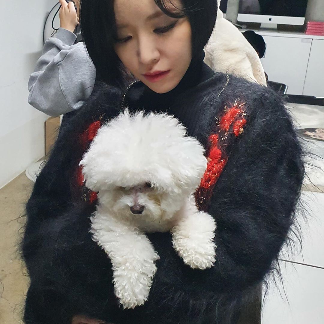 손가인 인스타