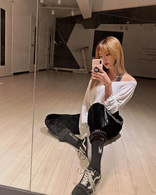 LE 인스타그램