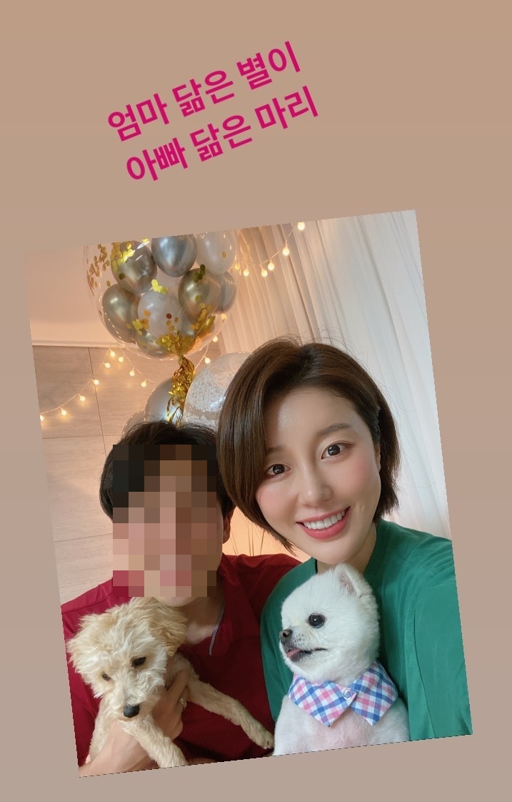 나비 인스타
