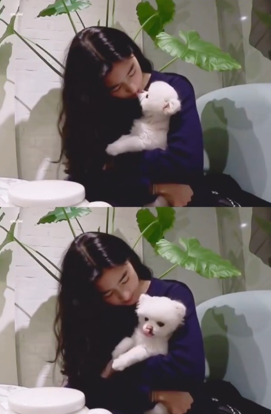 정은채 인스타
