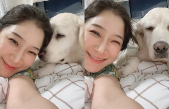 김하영 인스타