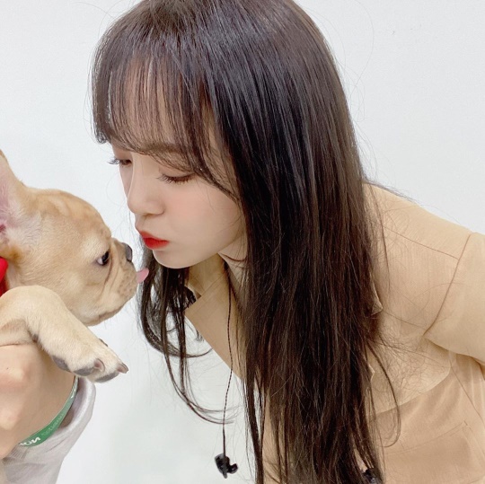 세정 인스타그램