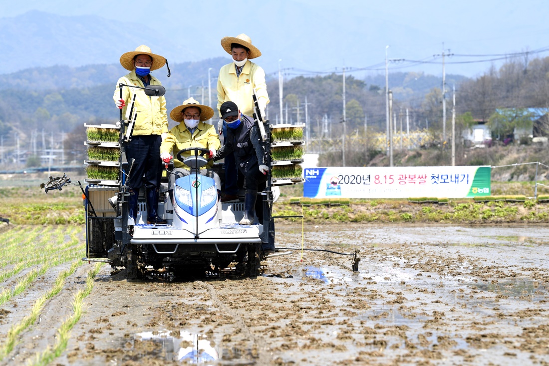 장욱현 영주시장이 모내기 현장을 방문해 이양기를 작동하며 풍년농사를 기원했다.(영주시 제공)