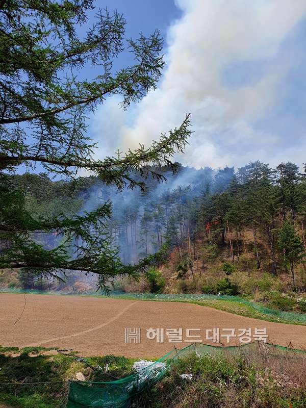 봉화군 소천면 에서 산불이 발생해 헬기3대 가 투입해 진화중이다.