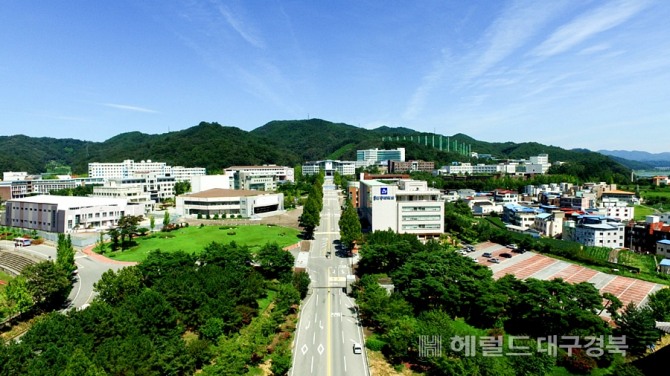 안동대학교 전경(헤럴드 DB)