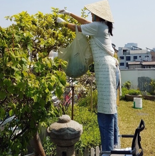 박진희 인스타