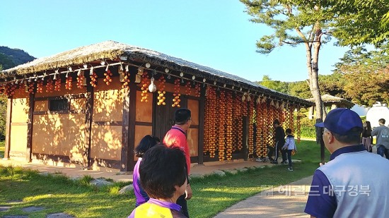 곶감 사진촬영장소로 각광받고 있는 상주 곶감공원의 가을풍경 모습