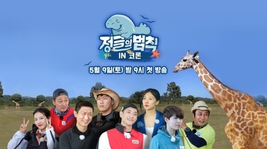 SBS 제공