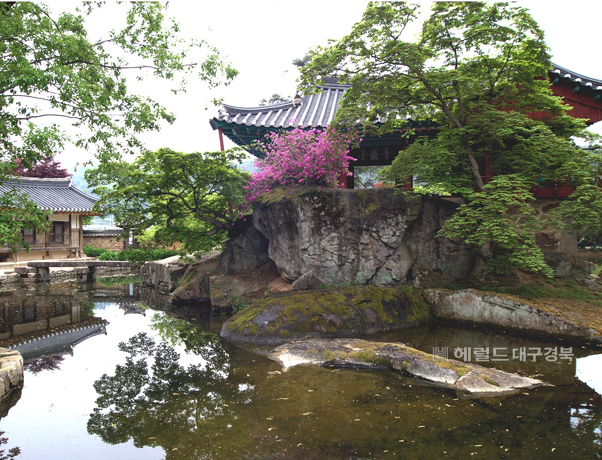 봉화읍 닭실[酉谷]에 자리 잡고 있는 청암정의 여름풍경(봉화군 제공)