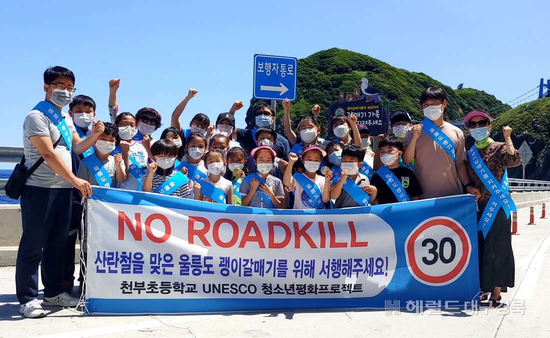 울릉도 천부초등학생들이 괭이갈매기가 차에 치여 죽는 '로드킬'(Road-kill) 사고를 방지하기 위해 무더운 날씨속에 캠페인을 전개한후 기념 사진을  찍고 있다.