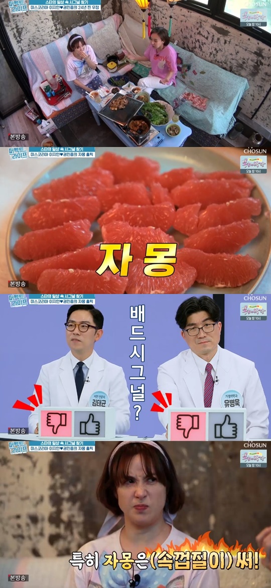 TV조선 '퍼펙트라이프' 캡처